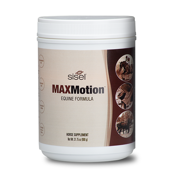 Max motion best sale